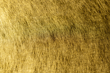 Fototapeta premium 金色の素材 壁紙