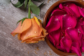 head of a rose with drops of water next to a ceramic bowl full of rose petals, on a wooden table, details of natural flower, beauty in studio, floral design