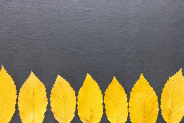 Yellow fall leaves on black background Autumn mood