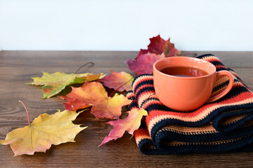 Autumn composition. Cup of tea on warm knitted scarf and yellow maple leaves on wooden table. Colorful nature