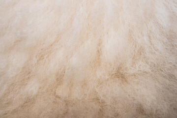 Background and texture with sheepskin.