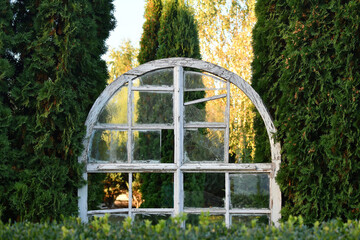 Decorative old rustic window in the garden with thuja trees. Selective focus.