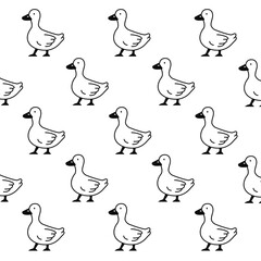 duck pattern