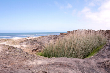 sand dunes and beach