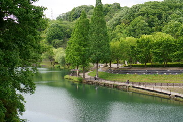 木のある湖畔の景色