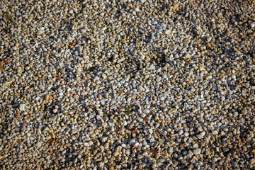 Pebbles