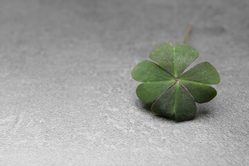 Green four leaf clover on grey table, closeup. Space for text