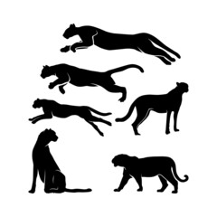 Cheetah, jaguar, puma, tiger, black panther silhouette set design inspiration