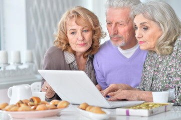 Portrait of senior people with laptop drinking tea