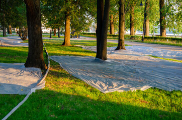 freshly planted lawn in park is covered with fabric to protect it from birds, ultraviolet radiation.
