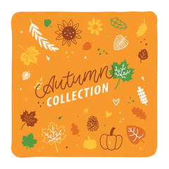 Trendy Autumn Collection banner for decoration design. Template for any purposes. Hand Drawn Lettering. Vector isolated illustration