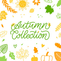 Autumn Collection Banner. Trendy Template For Advertising, Greeting Cards, Flyers. Fashion For Kids, Wedding Business. Frame With Flowers and Plants. Vector Illustration Background