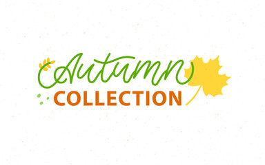 Autumn Collection Banner. Trendy Template For Advertising, Greeting Cards, Flyers. Fashion For Kids, Wedding Business. Frame With Flowers and Plants. Vector Illustration Background