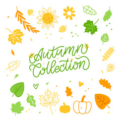 Trendy Autumn Collection banner for decoration design. Template for any purposes. Fashion For Kids, Wedding Business. Hand Drawn Lettering. Vector isolated illustration