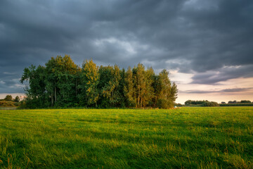 Green meadow with forest and dark clouds