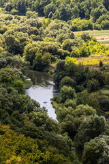 Fototapeta na wymiar River among green trees in summer. Aerial drone view