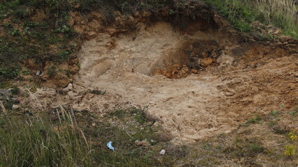stone path in the forest