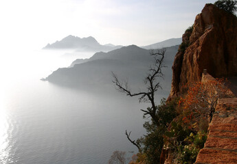 Fototapeta na wymiar Rocky Coastline on the island of Corsica, France. Phantastic view over the bay of Porto.