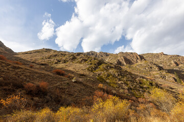 Autumn colors of Gorge Turgen slopes. Ile-Alatau National Park in Kazakhstan.