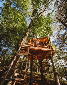 Teen boy looking over the rail of a treehouse beside a lake.