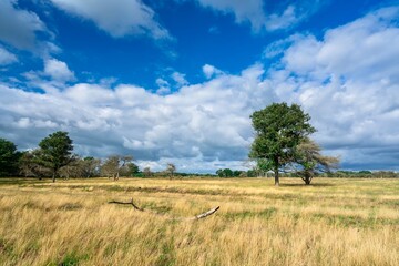 Landscape Doldersummerveld National Park Drents Friese Wold