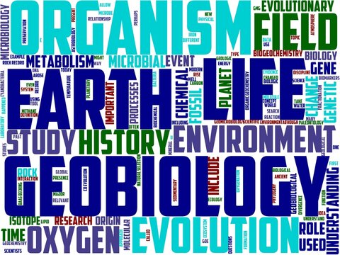 geobiology typography, wordart, wordcloud, geobiology,paleobiology,paleontology,geology
