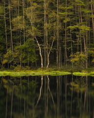 秋の朝の御射鹿池　9月末