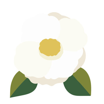 白椿 Images Browse 219 Stock Photos Vectors And Video Adobe Stock