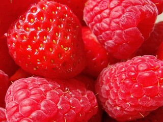 Close up of fresh raspberries - red berries 