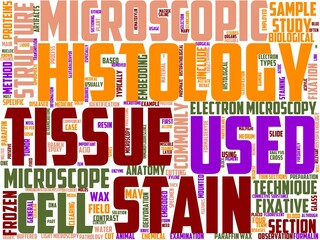histology typography, wordart, wordcloud, histology,science,tissue,medical