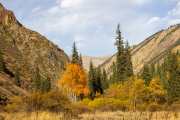 Turgen is one of the most beautiful gorges in Zailisky range. Turgen gorge, Ile-Alatau National Park, Kazakhstan.