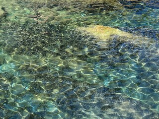 Jade green turquoise sea water surface. Beautiful transparent water of tropical lagoon. Amazing marine seascape. Incredible watercolor background.