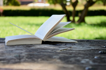 open book on a wooden bench in a park, grass and trees in the background.