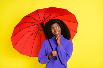Portrait of attractive dark skin lady hand on chin look empty space hold umbrella isolated on yellow color background © deagreez