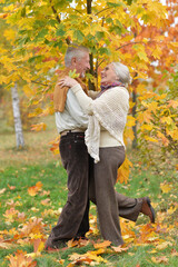 Naklejka na ściany i meble Portrait of senior couple dancing in autumn park