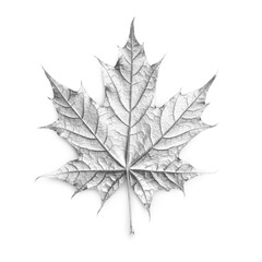 Isolated Metal Maple Leaf on white background