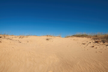 Picturesque view of desert on sunny day