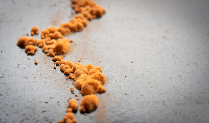 small orange fungi on black wood