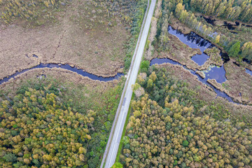 Aerial view from drone of concrete road intersecting little blue river among autumn pine, foliage forests, bogs in yellow green gold colors. Treetops in golden time and empty highway in fall season