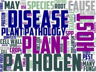 Obraz premium phytopathology typography, wordcloud, wordart,