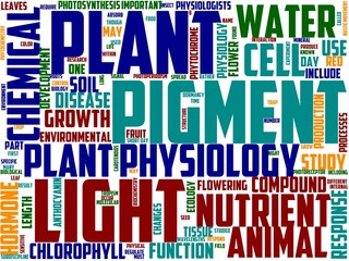 phytophysiology typography, wordcloud, wordart,