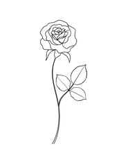 Rose simple line art drawing 
