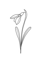 SnowDrop simple line art 