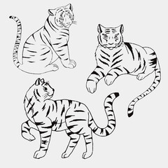 Fototapeta na wymiar Three tiger tattoo