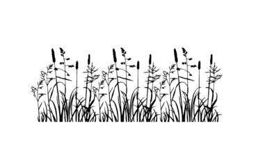 Grass silhouette vector.