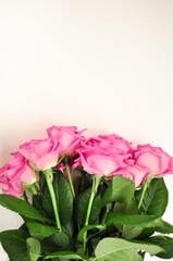 Bouquet of pink roses on white background copy space