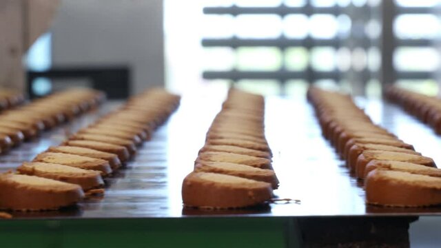 conveyor with rows of delicious cookies at a confectionery factory