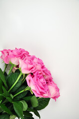 Bouquet of pink roses on white background copy space