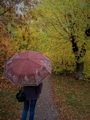 person with umbrella walking in the park