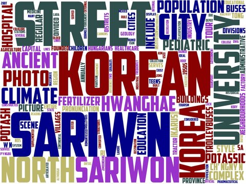 sariwon typography, wordcloud, wordart,